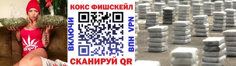 COCAIN Columbia  Горбатов 
