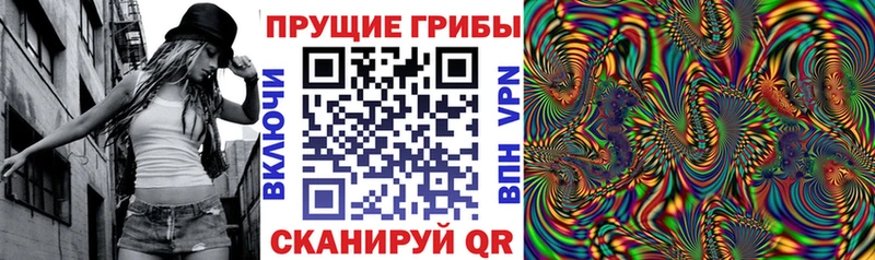 купить наркотик  Горбатов  Галлюциногенные грибы Psilocybe 